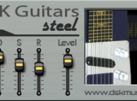 Guitars Steel