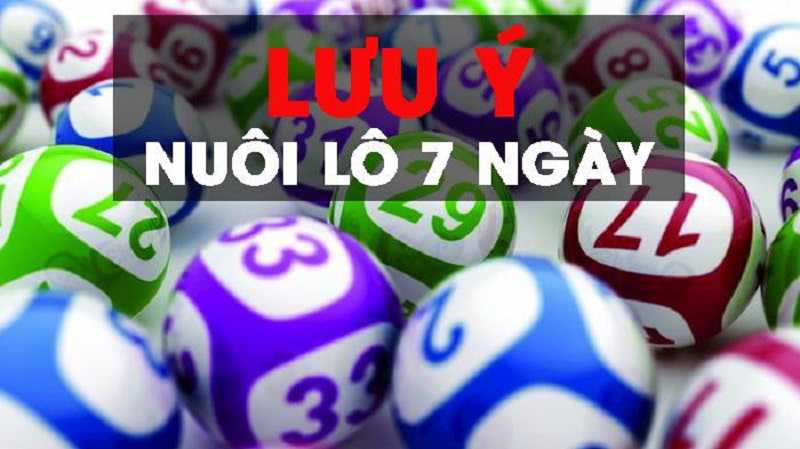 Cách vào tiền nuôi lô 7 ngày hiệu quả